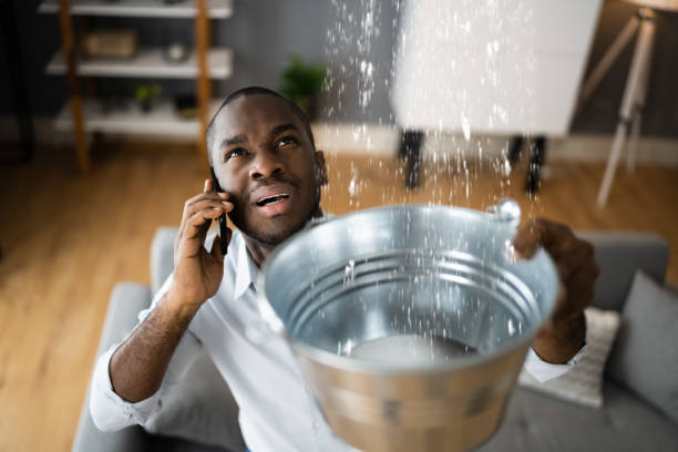 Best Water damage repair service  in Fleetwood, PA