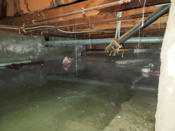 Best 24-hour water damage restoration  in Fleetwood, PA