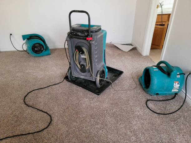 Best Water damage restoration specialists  in Fleetwood, PA