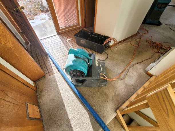 Best Flood restoration services  in Fleetwood, PA