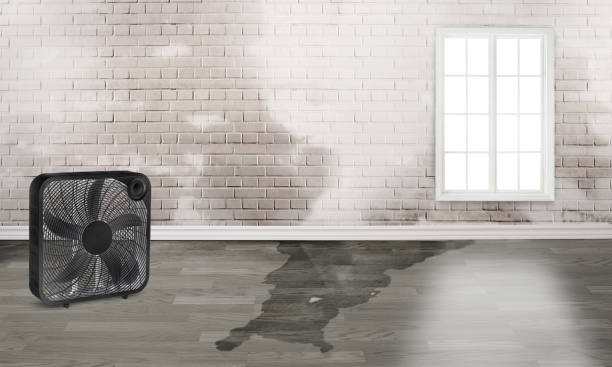 Best Water damage restoration near me  in Fleetwood, PA