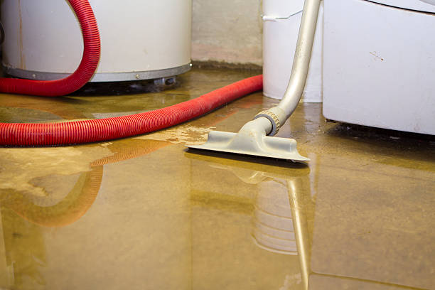 Best Water damage restoration near me  in Fleetwood, PA