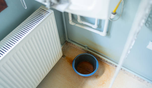 Best Ceiling water damage repair  in Fleetwood, PA